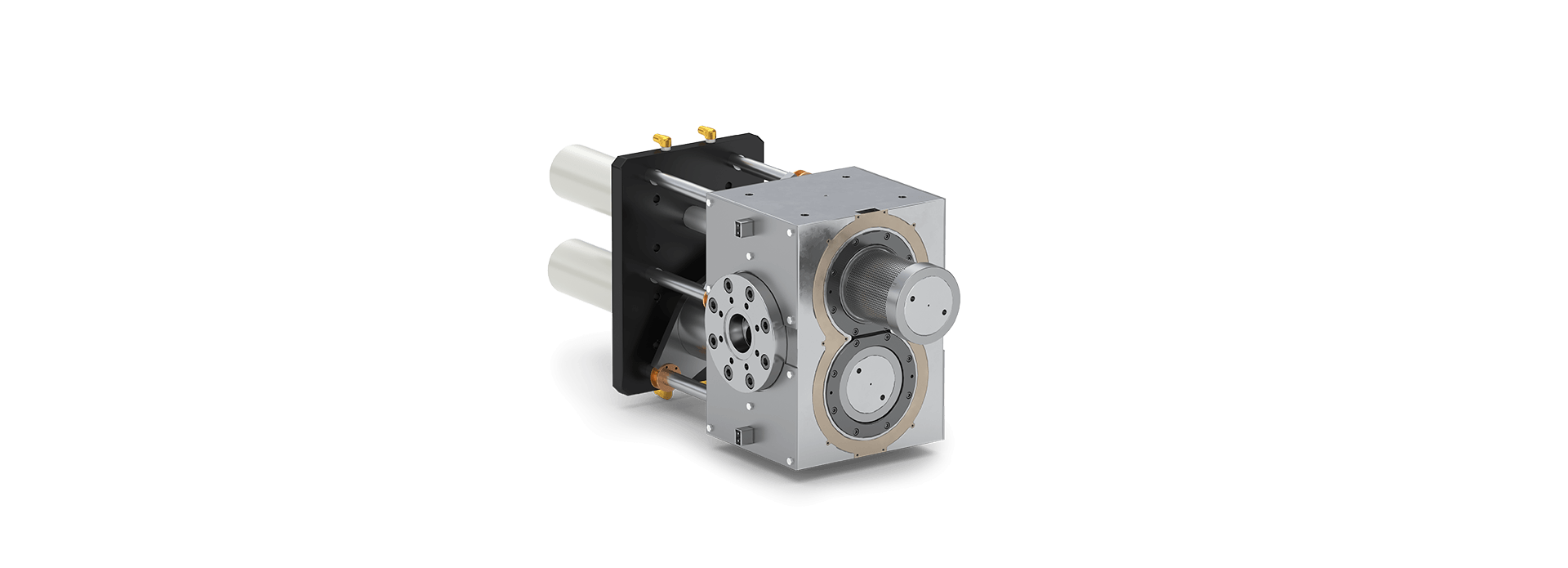 Dual-Piston Filter