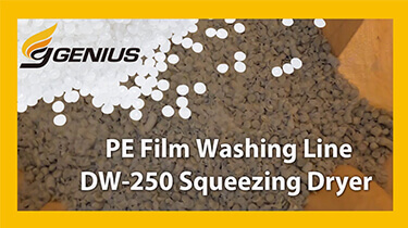 DW-250 Series - PE Film Washing Line with Squeezing Dryer