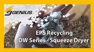 DW Series - EPS Recycling Machine