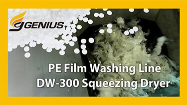 DW Series - PE Film Washing Line with Squeezing Dryer